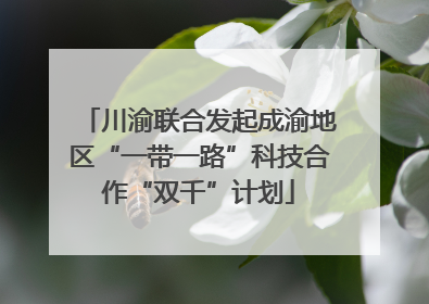 川渝联合发起成渝地区“一带一路”科技合作“双千”计划