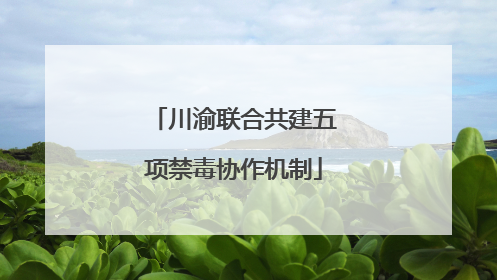 川渝联合共建五项禁毒协作机制