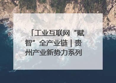 工业互联网“赋智”全产业链｜贵州产业新势力系列报道之八