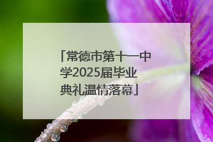 常德市第十一中学2025届毕业典礼温情落幕