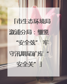 市生态环境局溆浦分局：绷紧“安全弦” 牢守汛期尾矿库“安全关”