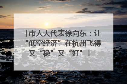 市人大代表徐向东：让“低空经济”在杭州飞得又“稳”又“好”