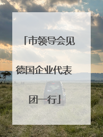 市领导会见德国企业代表团一行