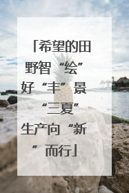 希望的田野智“绘”好“丰”景 “三夏”生产向“新”而行