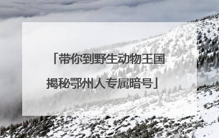 带你到野生动物王国揭秘鄂州人专属暗号