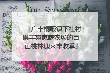 广丰桐畈镇下社村果丰苑家庭农场的百亩桃林迎来丰收季