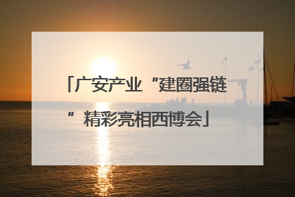 广安产业“建圈强链”精彩亮相西博会
