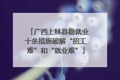 广西上林县稳就业十条措施破解“招工难”和“就业难”
