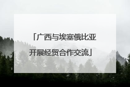 广西与埃塞俄比亚开展经贸合作交流