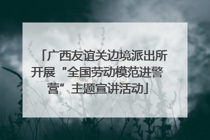 广西友谊关边境派出所开展“全国劳动模范进警营”主题宣讲活动