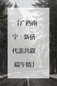 广西南宁：新侨代表共叙端午情