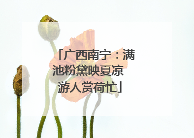 广西南宁：满池粉黛映夏凉 游人赏荷忙