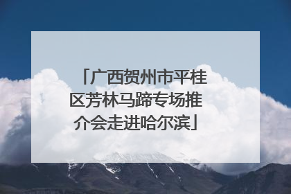 广西贺州市平桂区芳林马蹄专场推介会走进哈尔滨