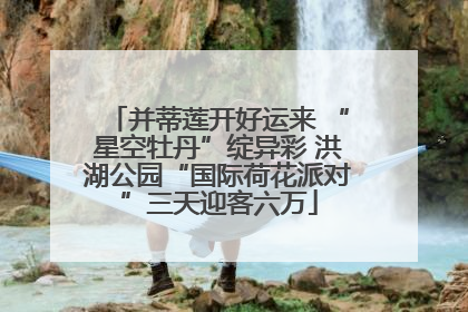 并蒂莲开好运来 “星空牡丹”绽异彩 洪湖公园“国际荷花派对”三天迎客六万
