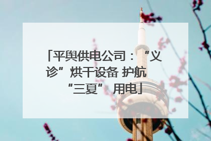 平舆供电公司：“义诊”烘干设备 护航 “三夏” 用电