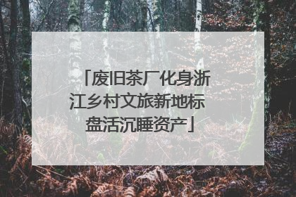 废旧茶厂化身浙江乡村文旅新地标 盘活沉睡资产