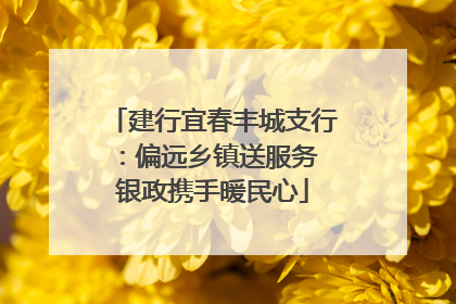 建行宜春丰城支行：偏远乡镇送服务 银政携手暖民心