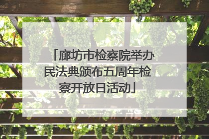 廊坊市检察院举办民法典颁布五周年检察开放日活动