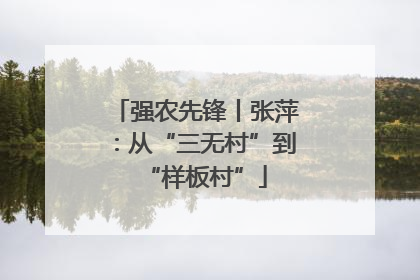 强农先锋丨张萍：从“三无村”到“样板村”