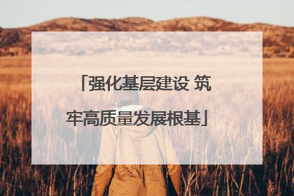 强化基层建设 筑牢高质量发展根基