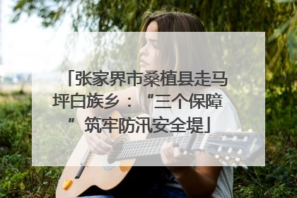 张家界市桑植县走马坪白族乡：“三个保障”筑牢防汛安全堤