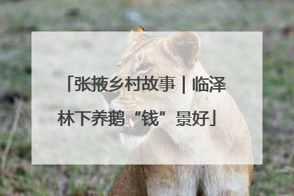 张掖乡村故事｜临泽林下养鹅“钱”景好