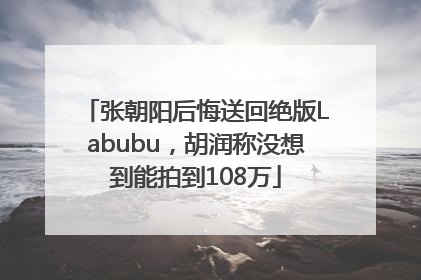 张朝阳后悔送回绝版Labubu，胡润称没想到能拍到108万