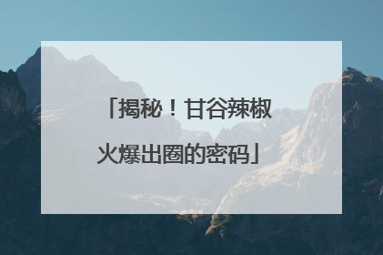 揭秘！甘谷辣椒火爆出圈的密码