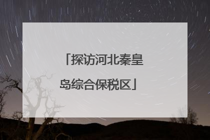 探访河北秦皇岛综合保税区