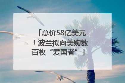总价58亿美元！波兰拟向美购数百枚“爱国者”