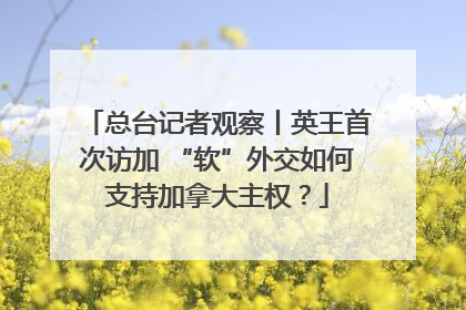 总台记者观察丨英王首次访加 “软”外交如何支持加拿大主权？