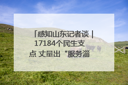 感知山东记者谈｜17184个民生支点 丈量出“服务淄博”的文明温度