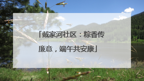 戴家河社区：粽香传廉意，端午共安康