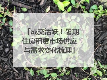 成交活跃！暑期住房租赁市场供应与需求变化梳理