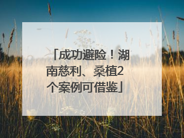 成功避险！湖南慈利、桑植2个案例可借鉴