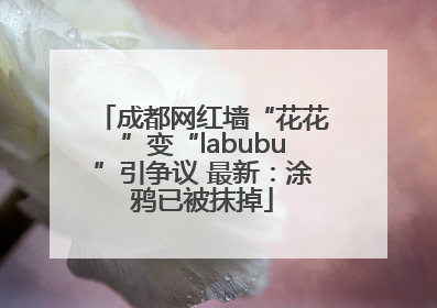 成都网红墙“花花”变“labubu”引争议 最新：涂鸦已被抹掉