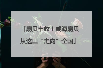 扇贝丰收！威海扇贝从这里“走向”全国