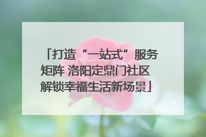打造“一站式”服务矩阵 洛阳定鼎门社区解锁幸福生活新场景