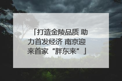 打造金陵品质 助力首发经济 南京迎来首家“胖东来”
