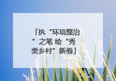 执“环境整治”之笔 绘“秀美乡村”新卷