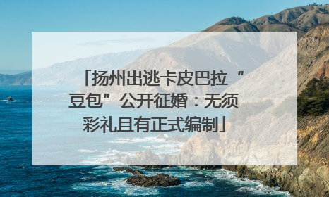 扬州出逃卡皮巴拉“豆包”公开征婚：无须彩礼且有正式编制