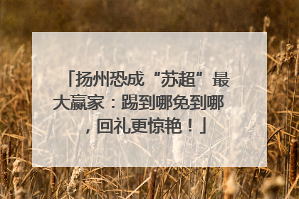 扬州恐成“苏超”最大赢家：踢到哪免到哪，回礼更惊艳！