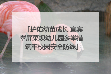护佑幼苗成长 宜宾翠屏菜坝幼儿园多举措筑牢校园安全防线