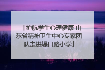 护航学生心理健康 山东省精神卫生中心专家团队走进堤口路小学