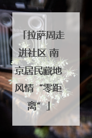 拉萨周走进社区 南京居民藏地风情“零距离”
