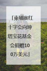 柬埔寨红十字会向坤塔宝花基金会捐赠100万美元