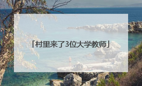 村里来了3位大学教师