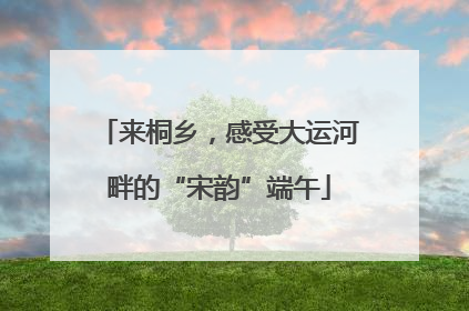 来桐乡，感受大运河畔的“宋韵”端午