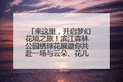 来这里，开启梦幻花境之旅！滨江森林公园绣球花展邀你共赴一场与云朵、花儿的浪漫之约