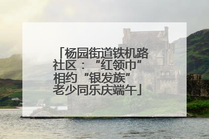 杨园街道铁机路社区：“红领巾”相约“银发族” 老少同乐庆端午